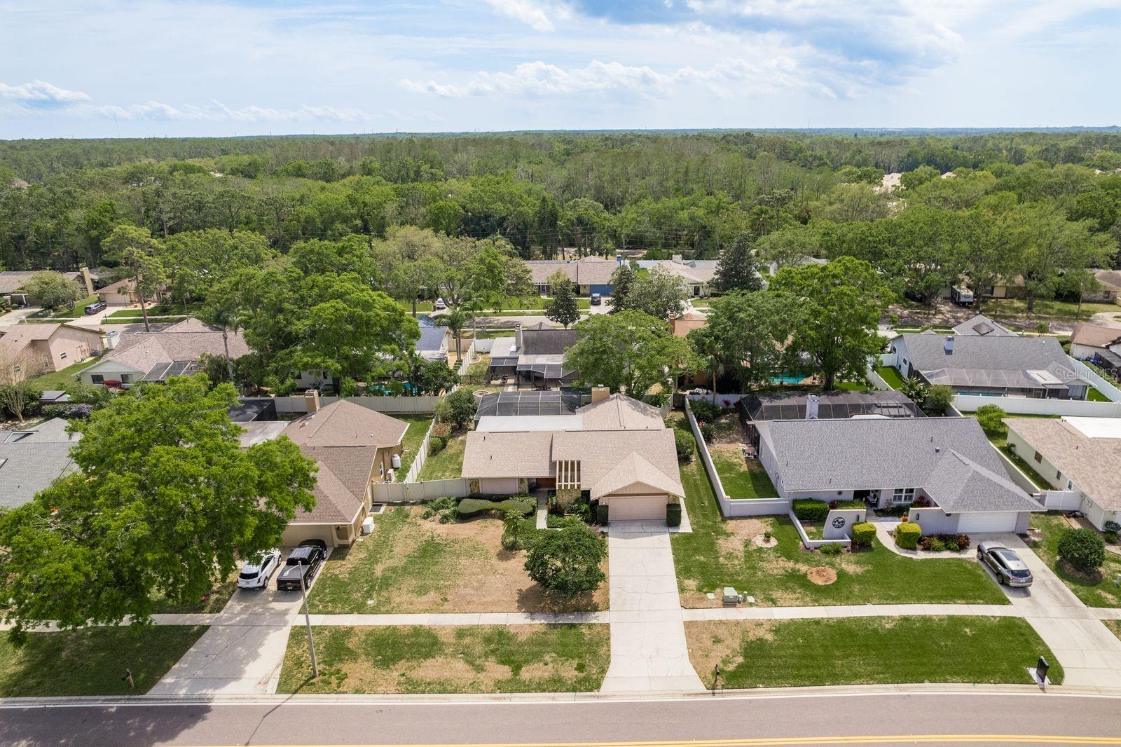 3388 TARPON WOODS BLVD, PALM HARBOR, FL, 34685