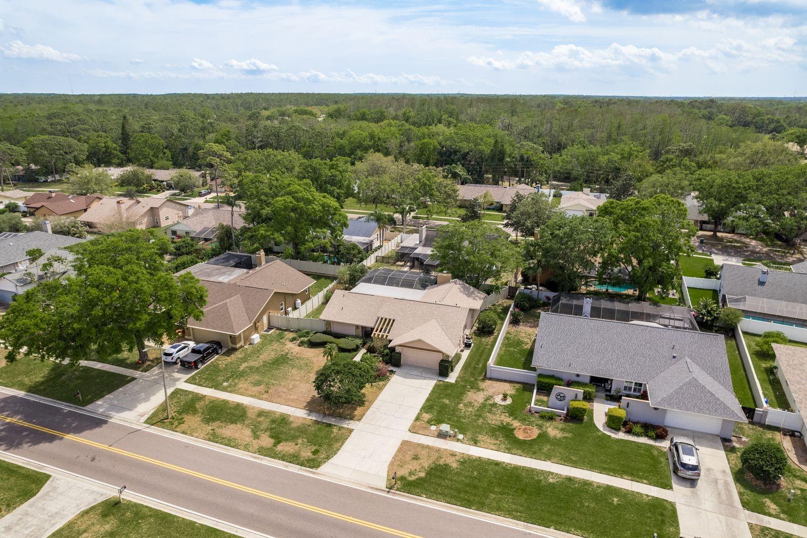 3388 TARPON WOODS BLVD, PALM HARBOR, FL, 34685