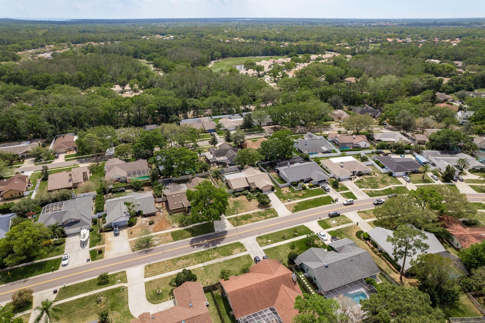 3388 TARPON WOODS BLVD, PALM HARBOR, FL, 34685