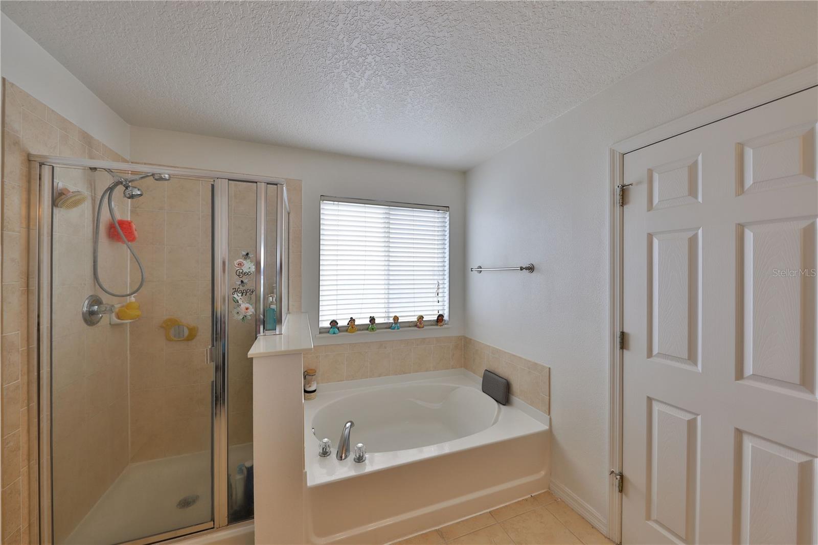 1750 MORNING SKY DR, WINTER GARDEN, FL, 34787