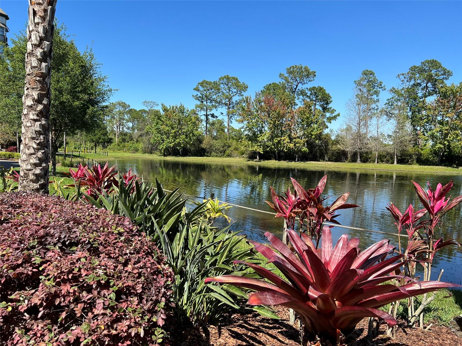 14501 GROVE RESORT AVE #2138, WINTER GARDEN, FL, 34787