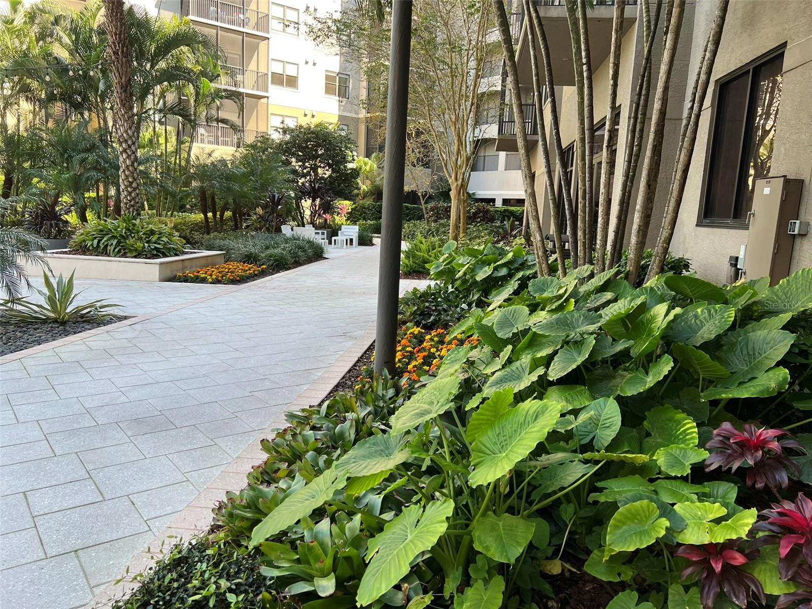 14501 GROVE RESORT AVE #2138, WINTER GARDEN, FL, 34787