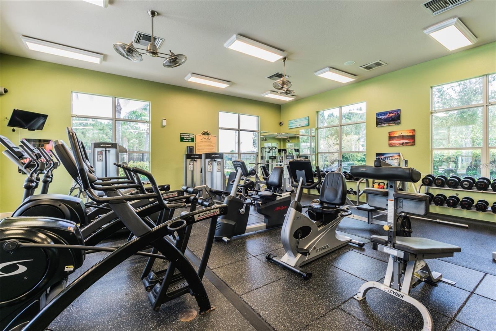 20721 WHITEWOOD WAY, TAMPA, FL, 33647