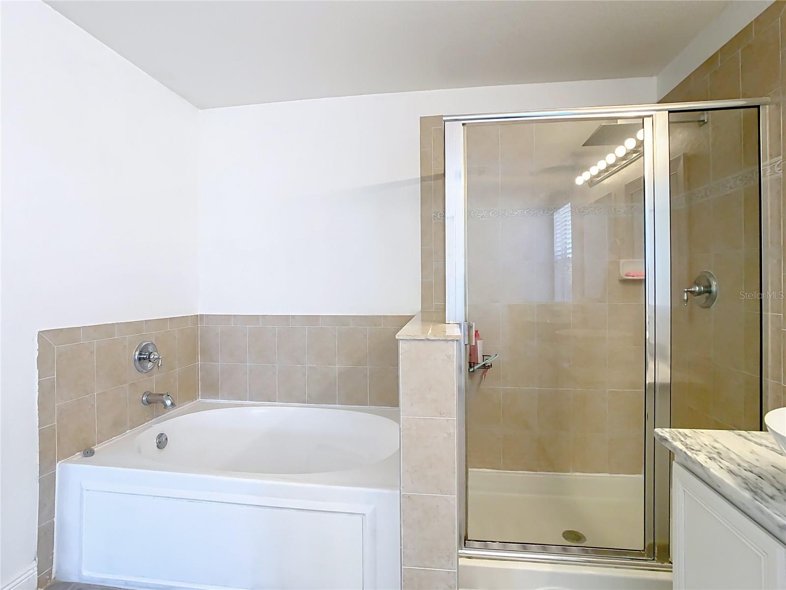 20721 WHITEWOOD WAY, TAMPA, FL, 33647