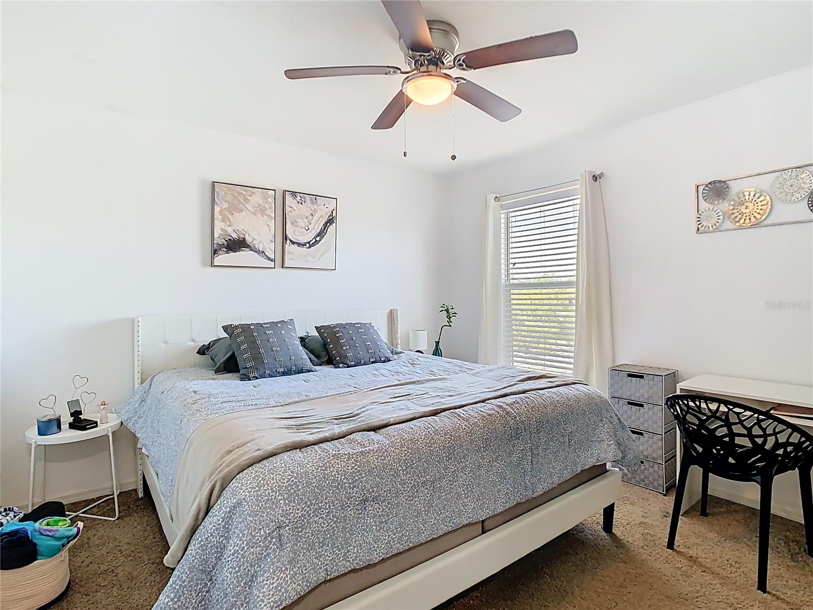 20721 WHITEWOOD WAY, TAMPA, FL, 33647