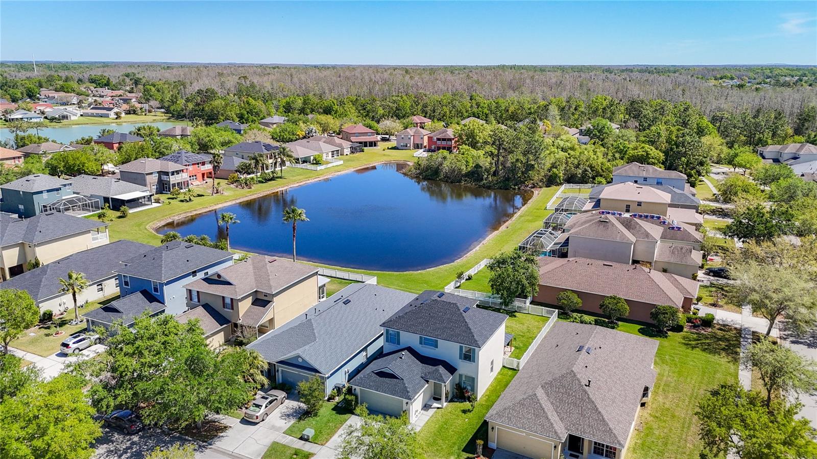 20721 WHITEWOOD WAY, TAMPA, FL, 33647