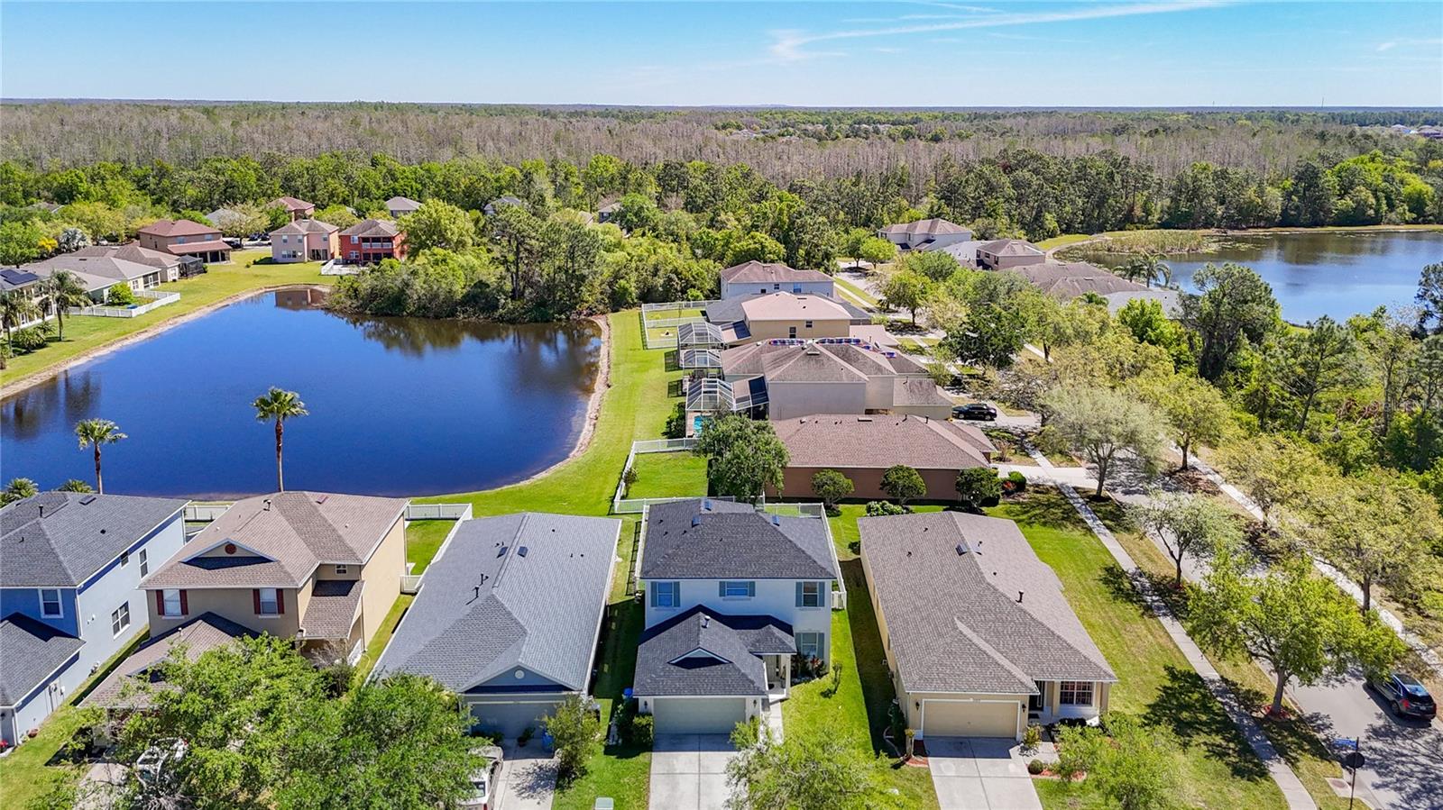 20721 WHITEWOOD WAY, TAMPA, FL, 33647