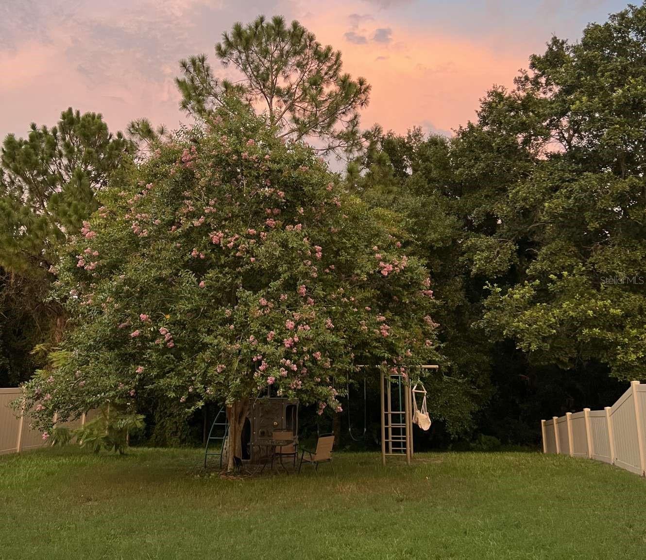 1218 HALAPA WAY, TRINITY, FL, 34655