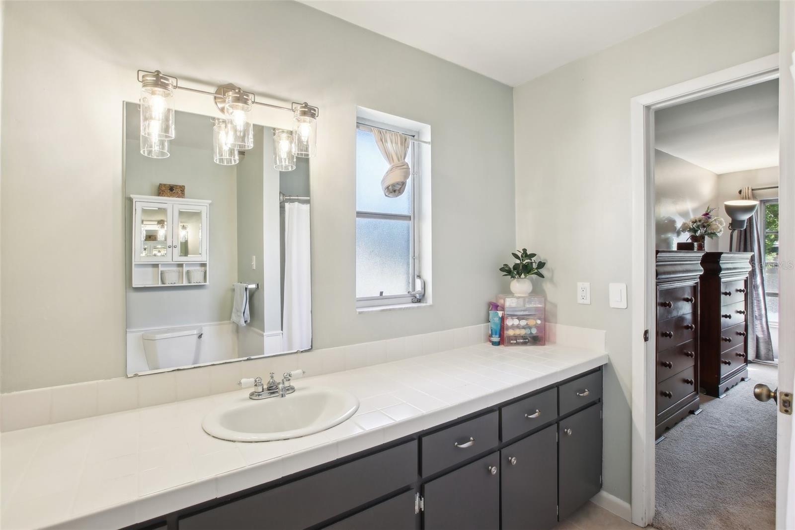 2853 ENISGROVE DR, PALM HARBOR, FL, 34683