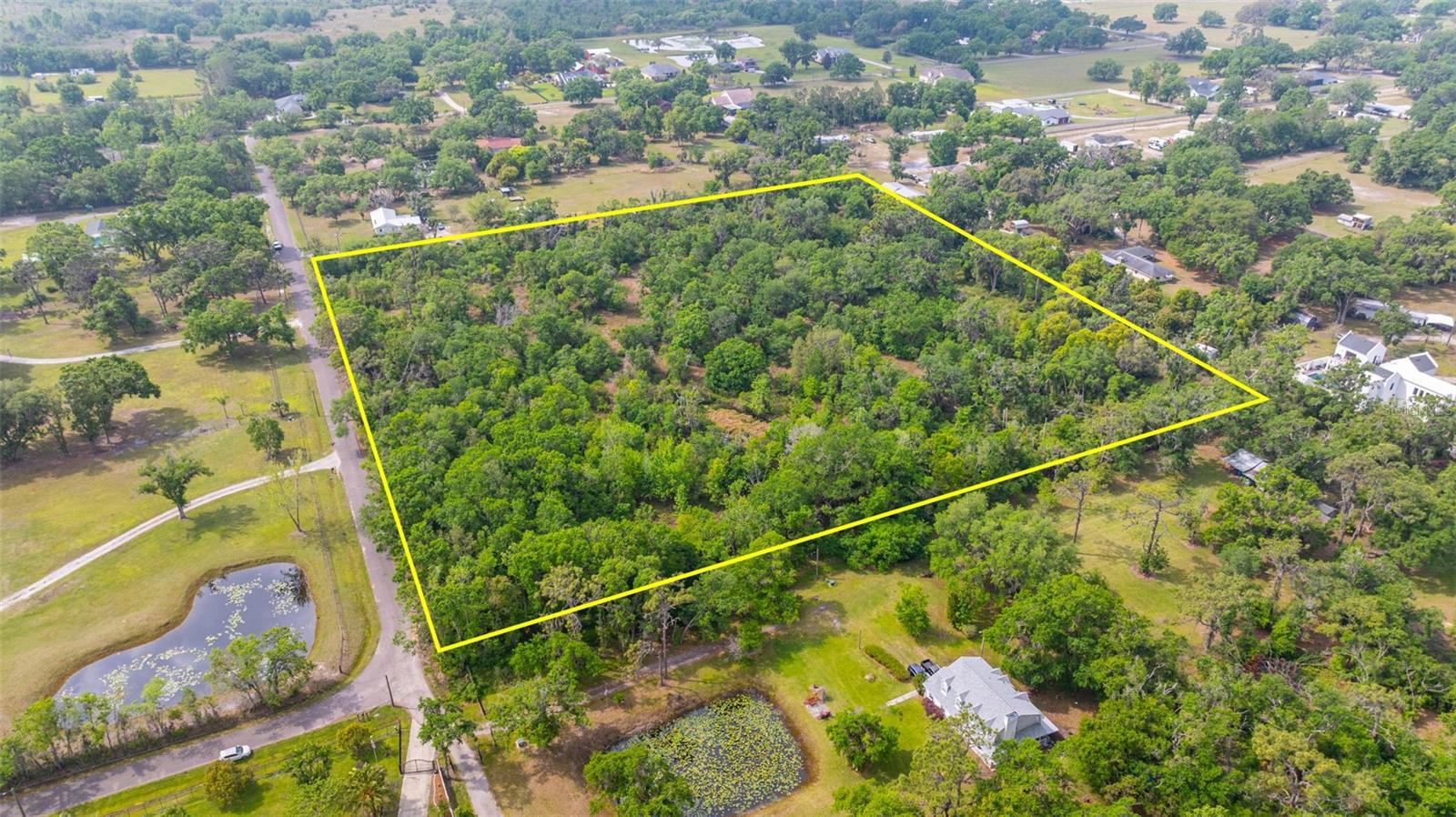 19084 RED BIRD LN, LITHIA, FL, 33547