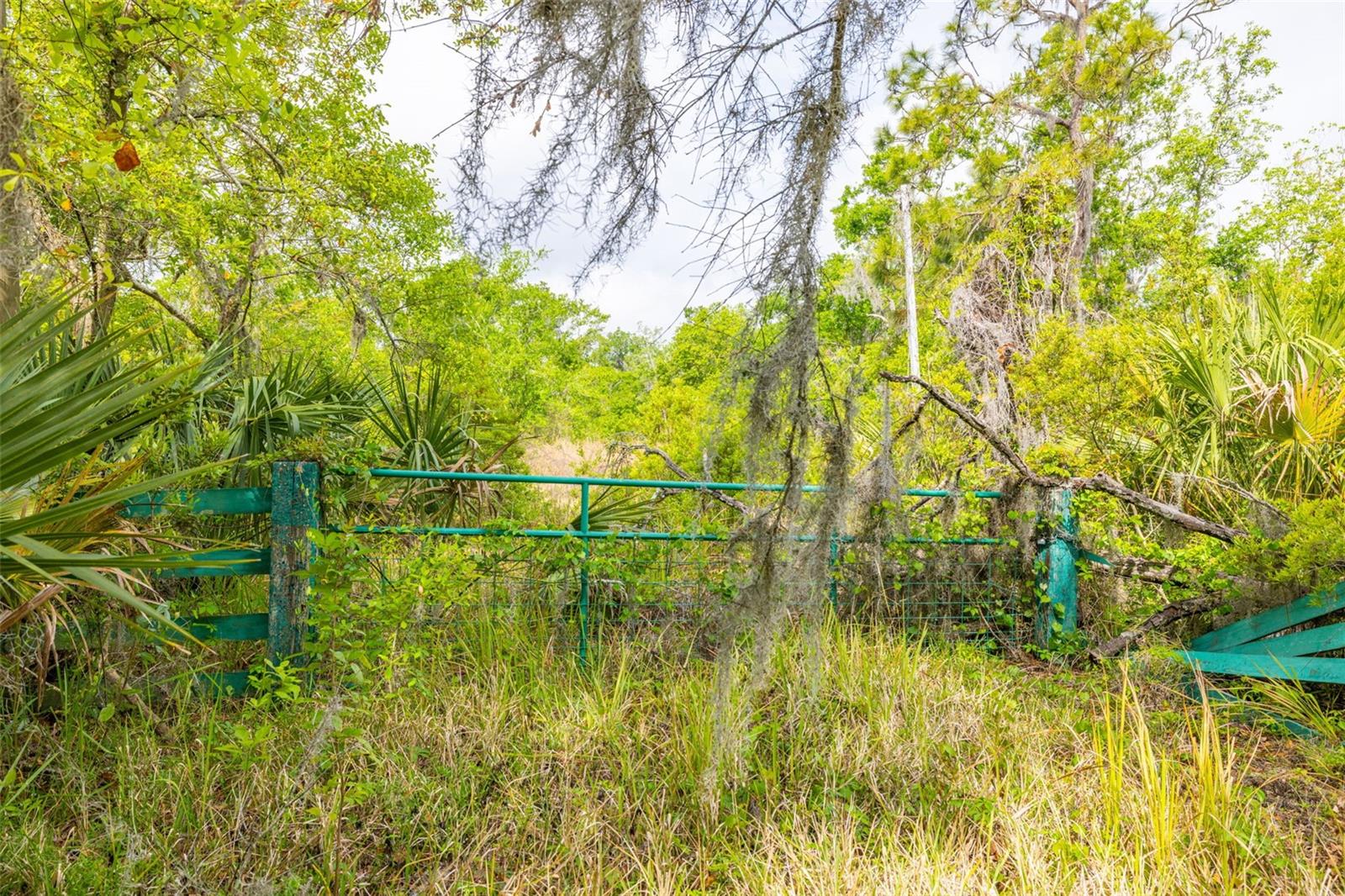 19084 RED BIRD LN, LITHIA, FL, 33547