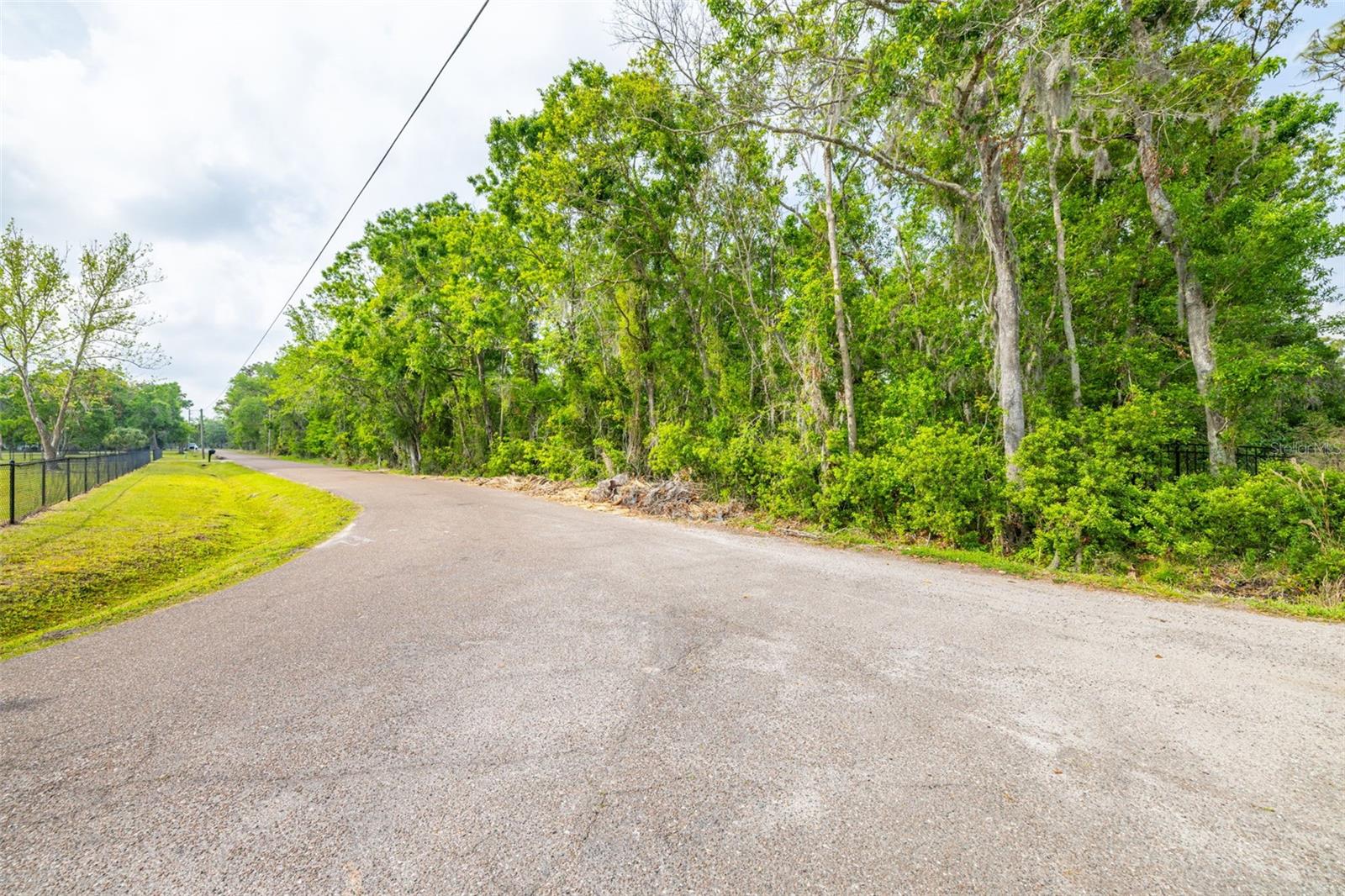 19084 RED BIRD LN, LITHIA, FL, 33547