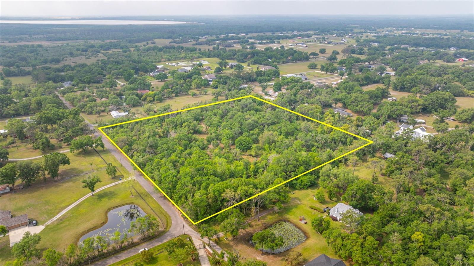 19084 RED BIRD LN, LITHIA, FL, 33547