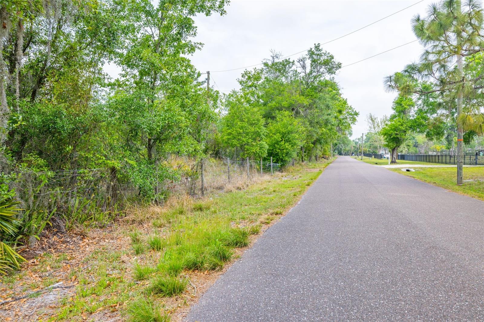 19084 RED BIRD LN, LITHIA, FL, 33547