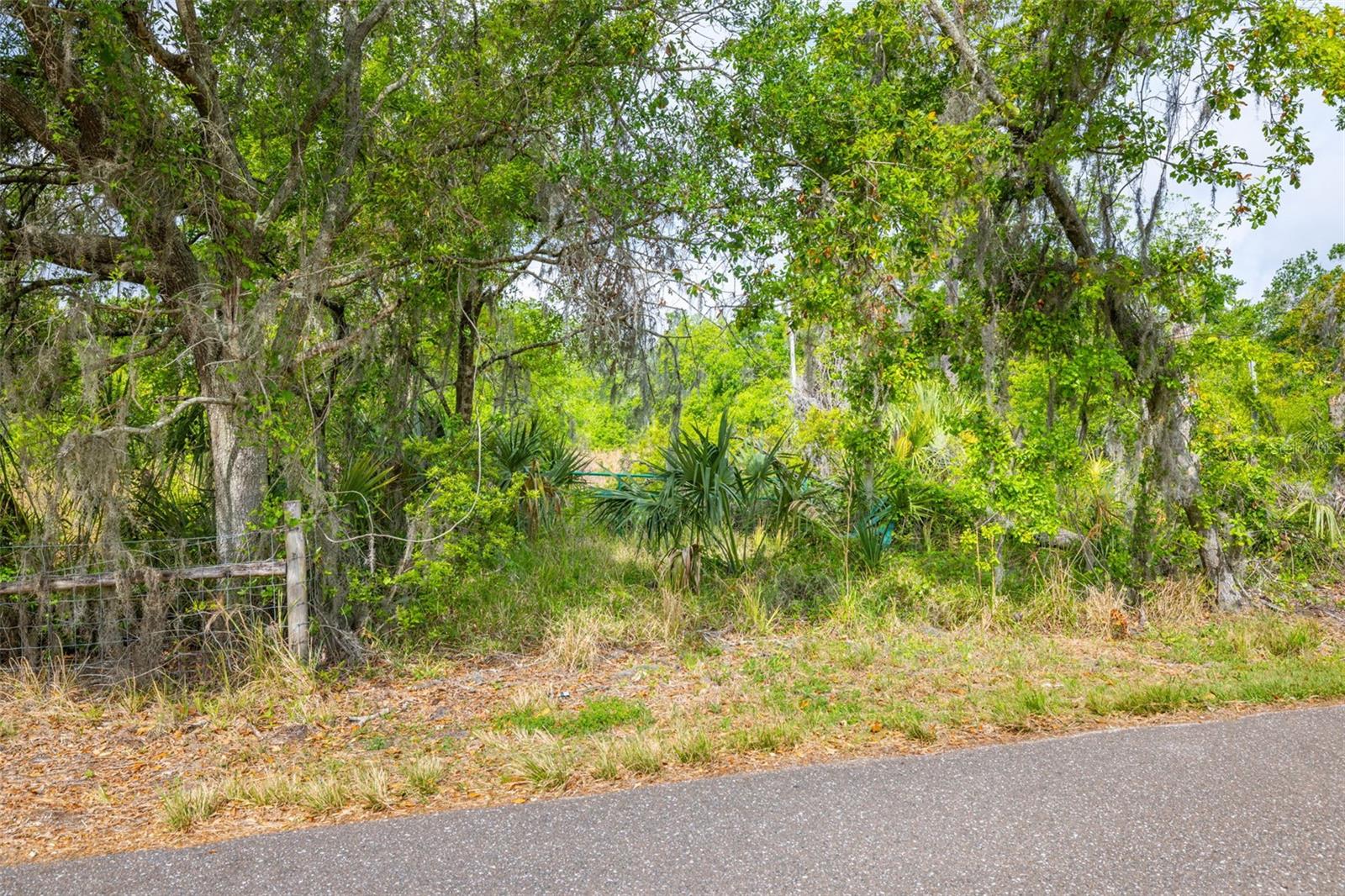 19084 RED BIRD LN, LITHIA, FL, 33547