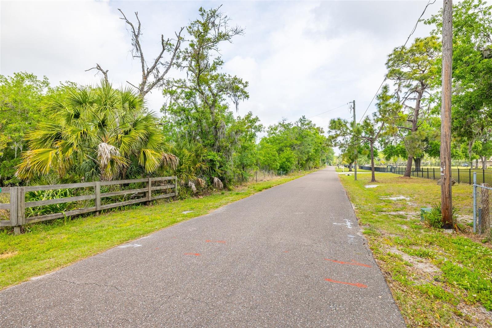 19084 RED BIRD LN, LITHIA, FL, 33547