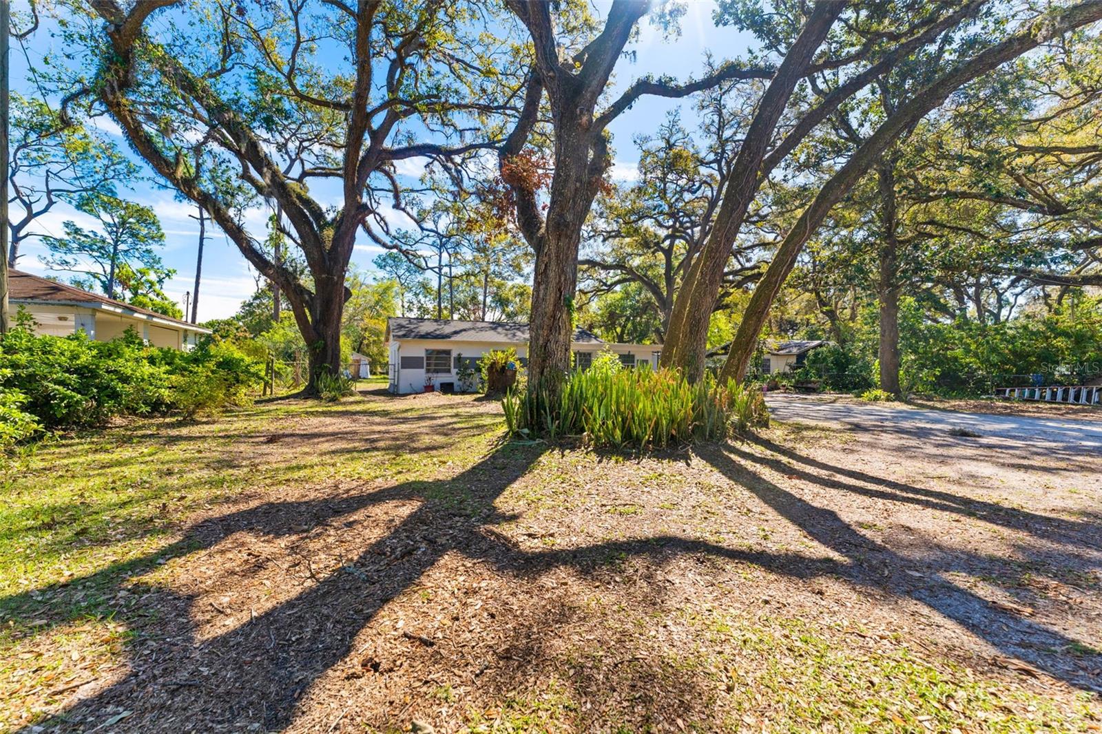 9923 MORRIS BRIDGE RD, TAMPA, FL, 33637