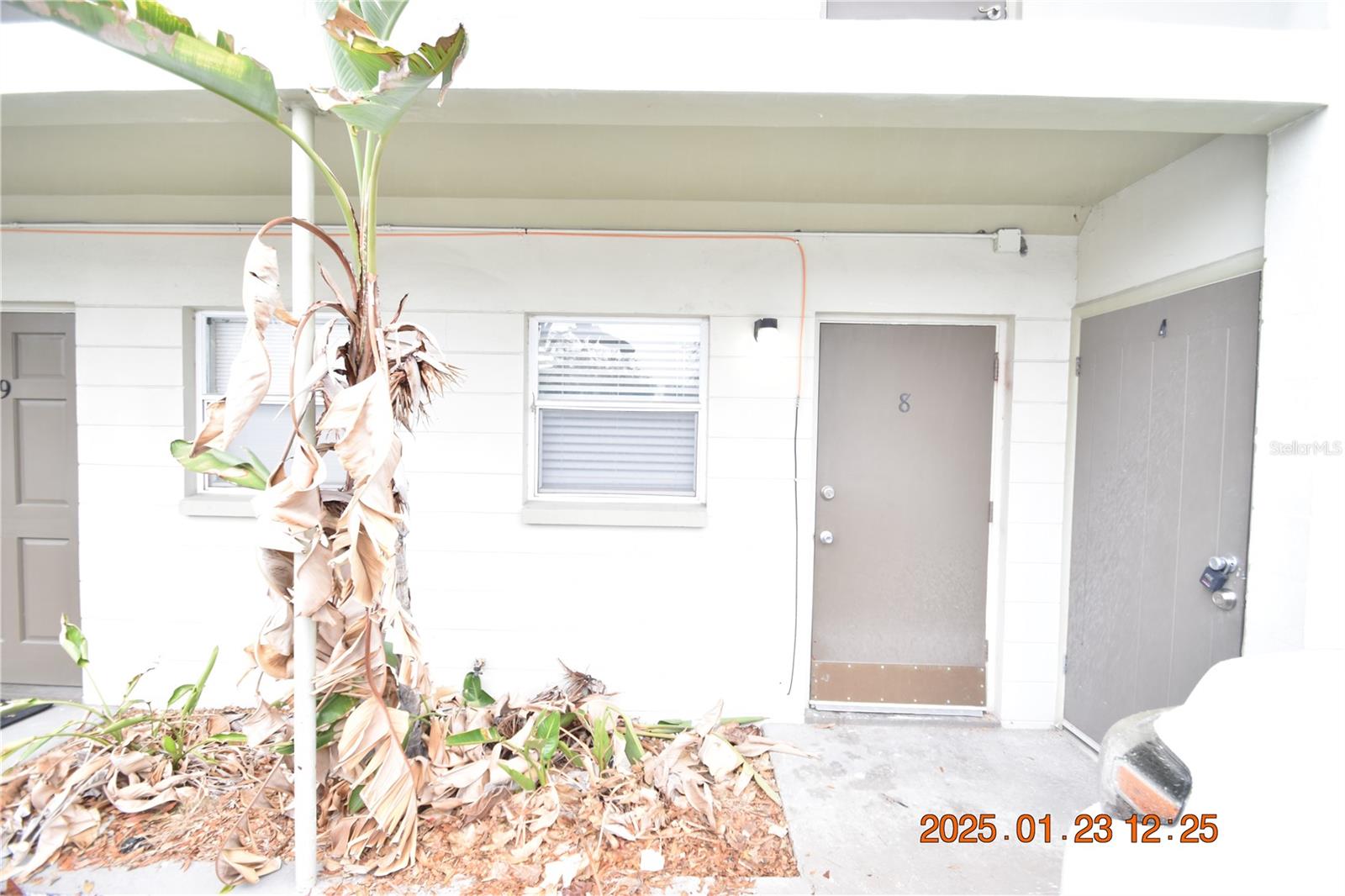 302 DANUBE AVE #8, TAMPA, FL, 33606