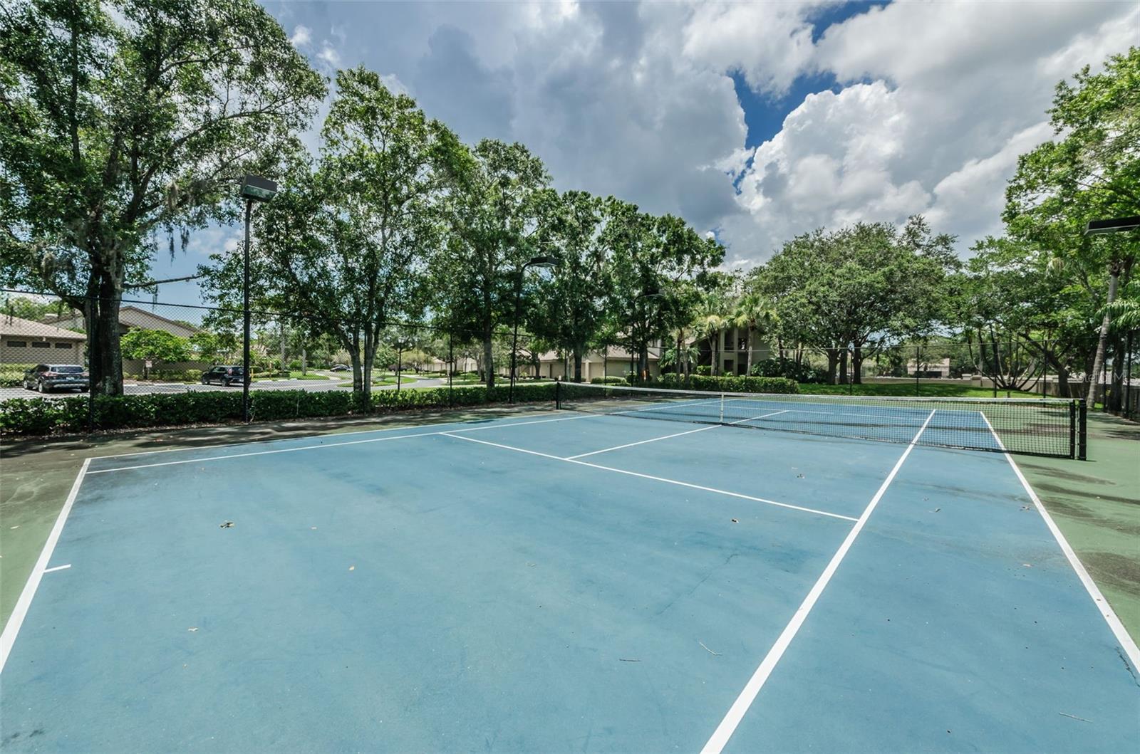 3024 LANDMARK BLVD #607, PALM HARBOR, FL, 34684