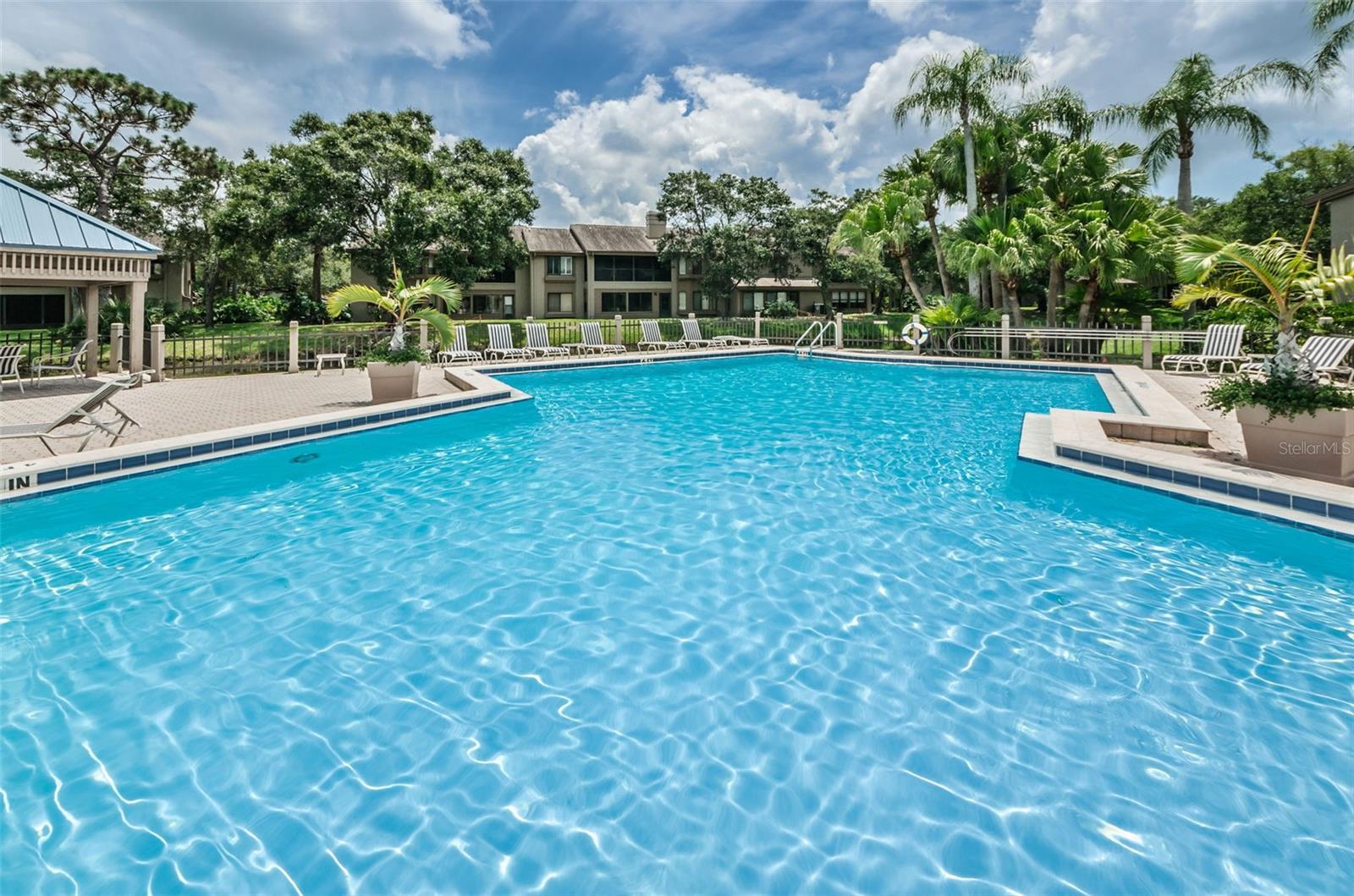 3024 LANDMARK BLVD #607, PALM HARBOR, FL, 34684