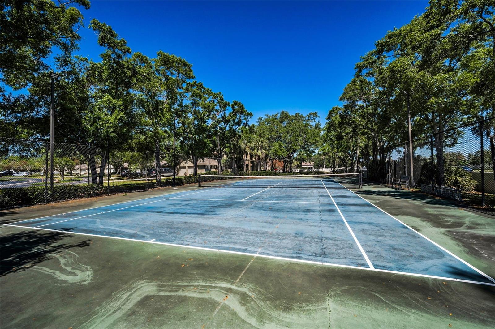 3024 LANDMARK BLVD #607, PALM HARBOR, FL, 34684