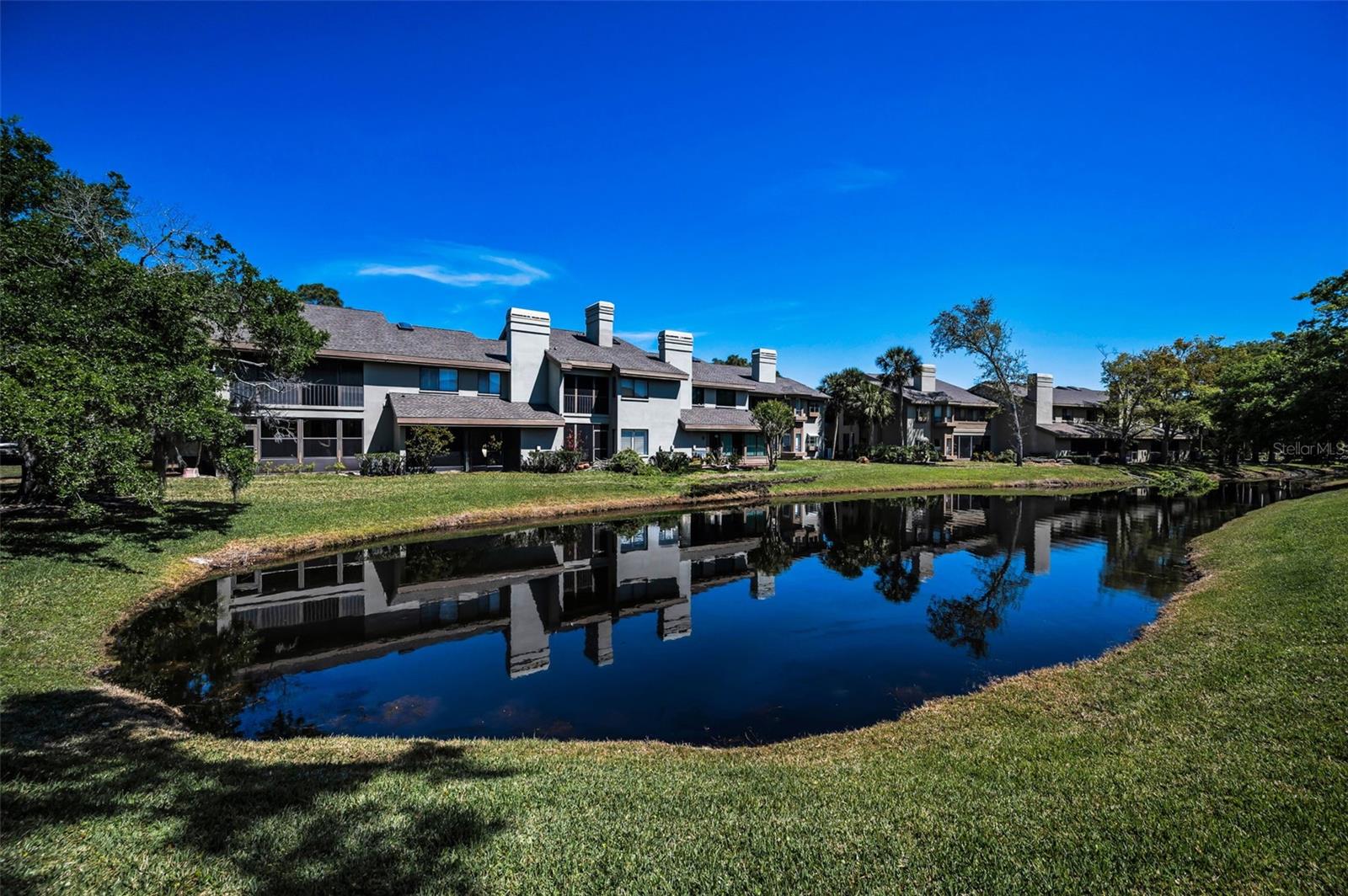 3024 LANDMARK BLVD #607, PALM HARBOR, FL, 34684