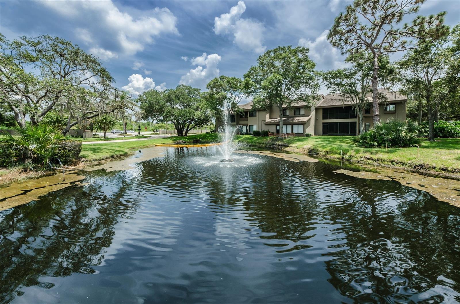 3024 LANDMARK BLVD #607, PALM HARBOR, FL, 34684