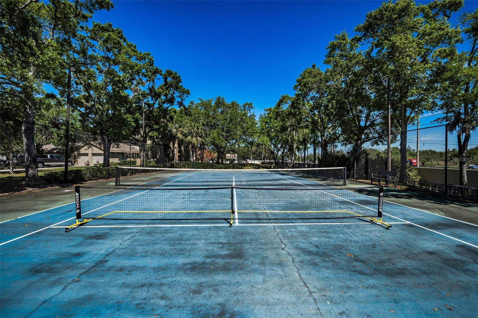 3024 LANDMARK BLVD #607, PALM HARBOR, FL, 34684