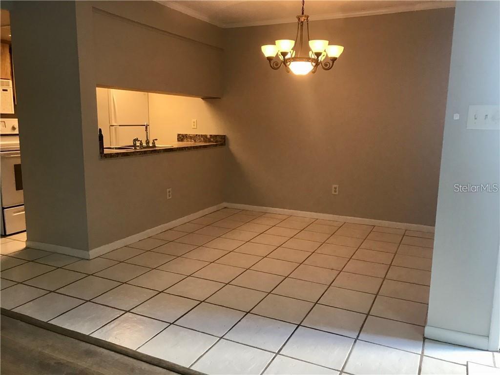 4809 S MOUND AVE #101, TAMPA, FL, 33611