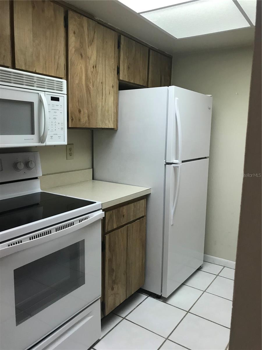 4809 S MOUND AVE #101, TAMPA, FL, 33611