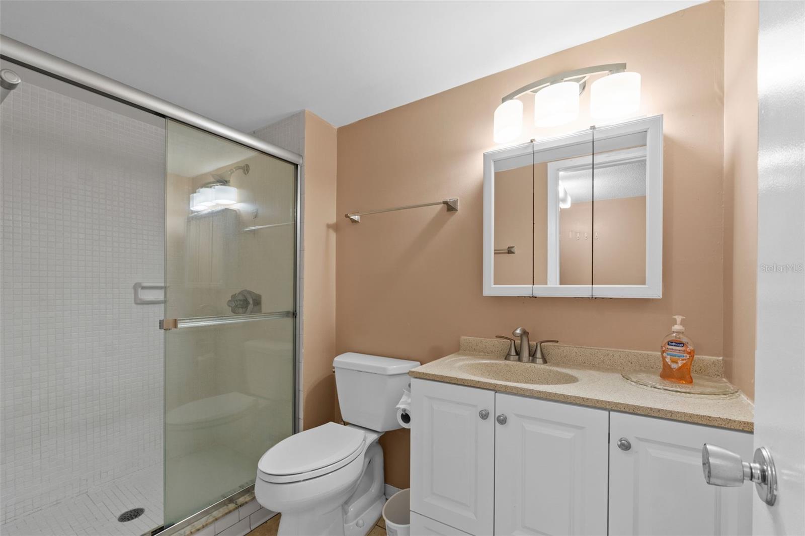 333 LAKE HOWARD DR NW #204D, WINTER HAVEN, FL, 33880