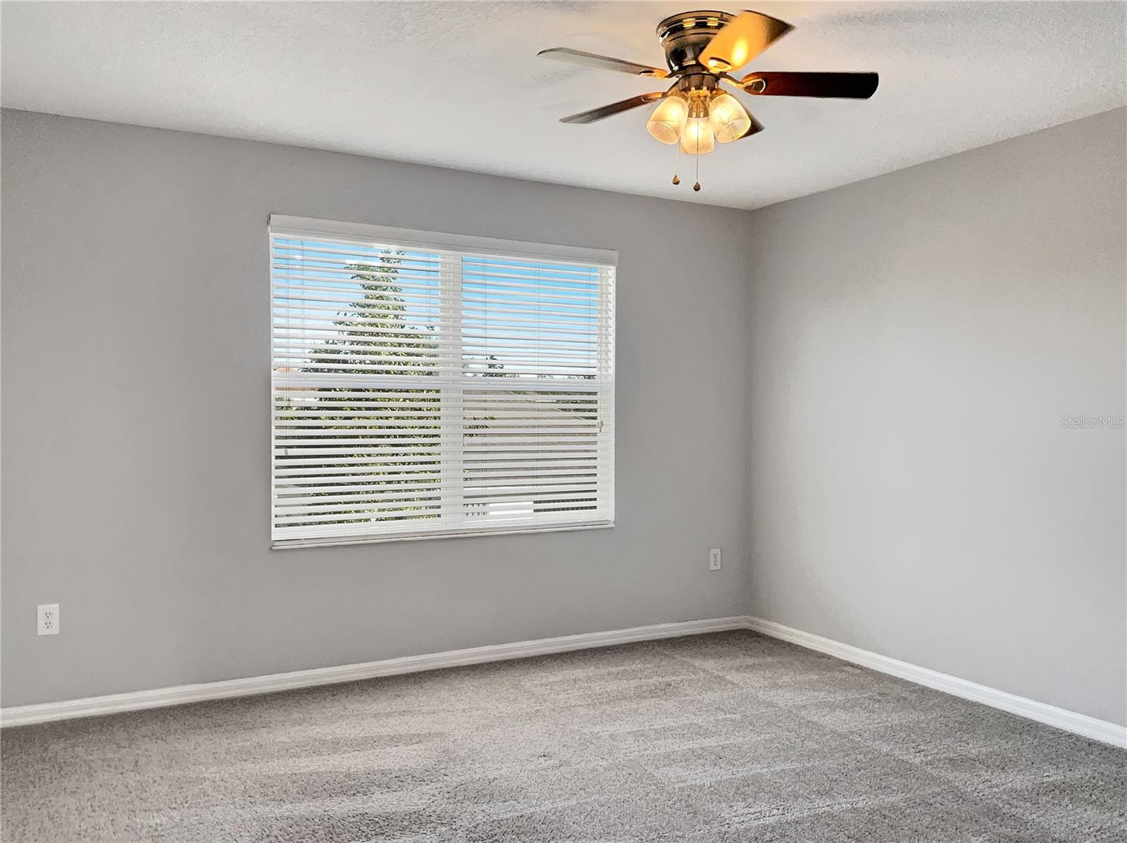 8840 RED BEECHWOOD CT, RIVERVIEW, FL, 33578