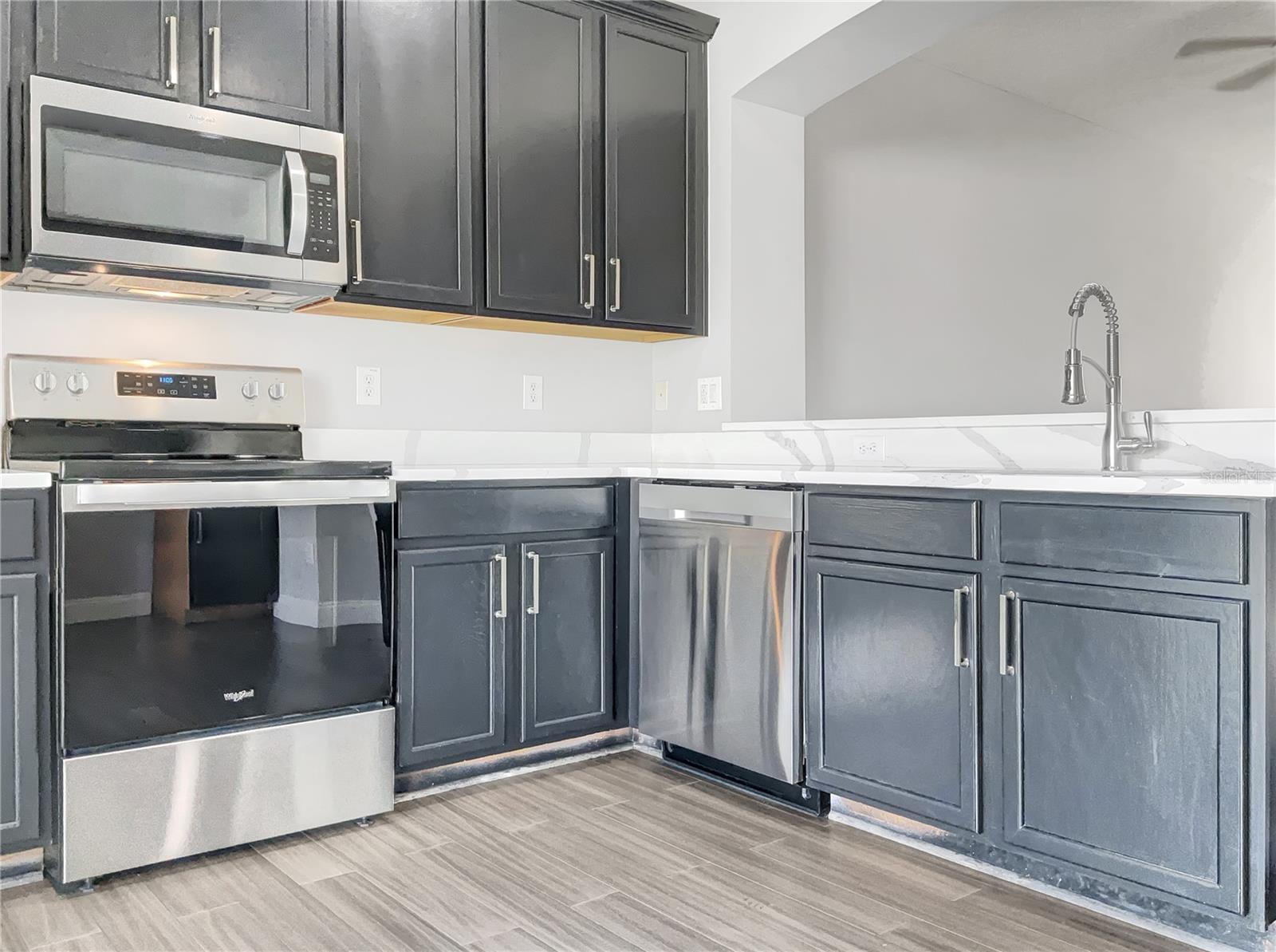 8840 RED BEECHWOOD CT, RIVERVIEW, FL, 33578