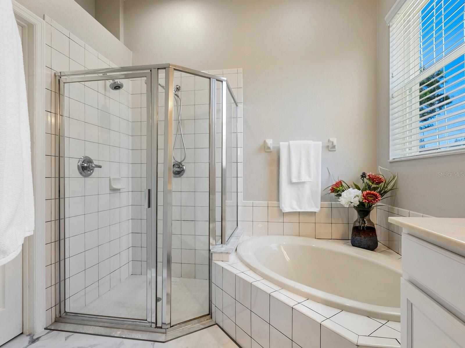 15310 BLUE FISH CIR, LAKEWOOD RANCH, FL, 34202