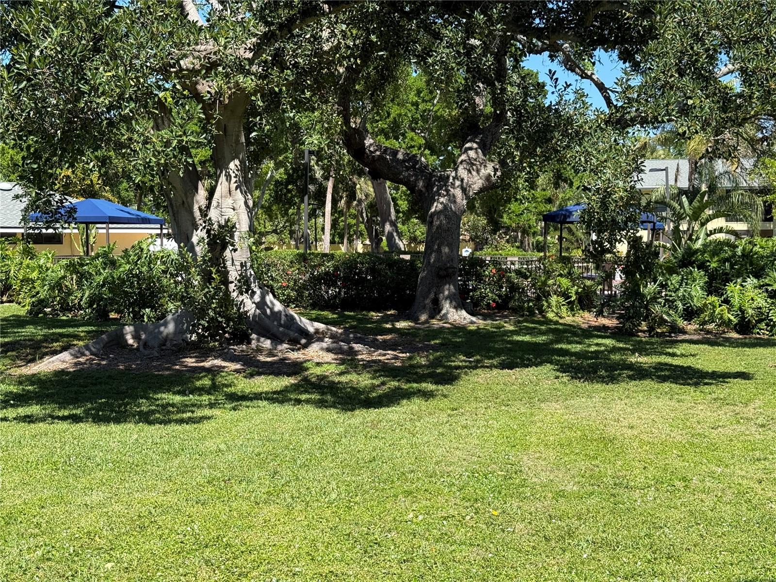 3001 58TH AVE S #1103, ST PETERSBURG, FL, 33712