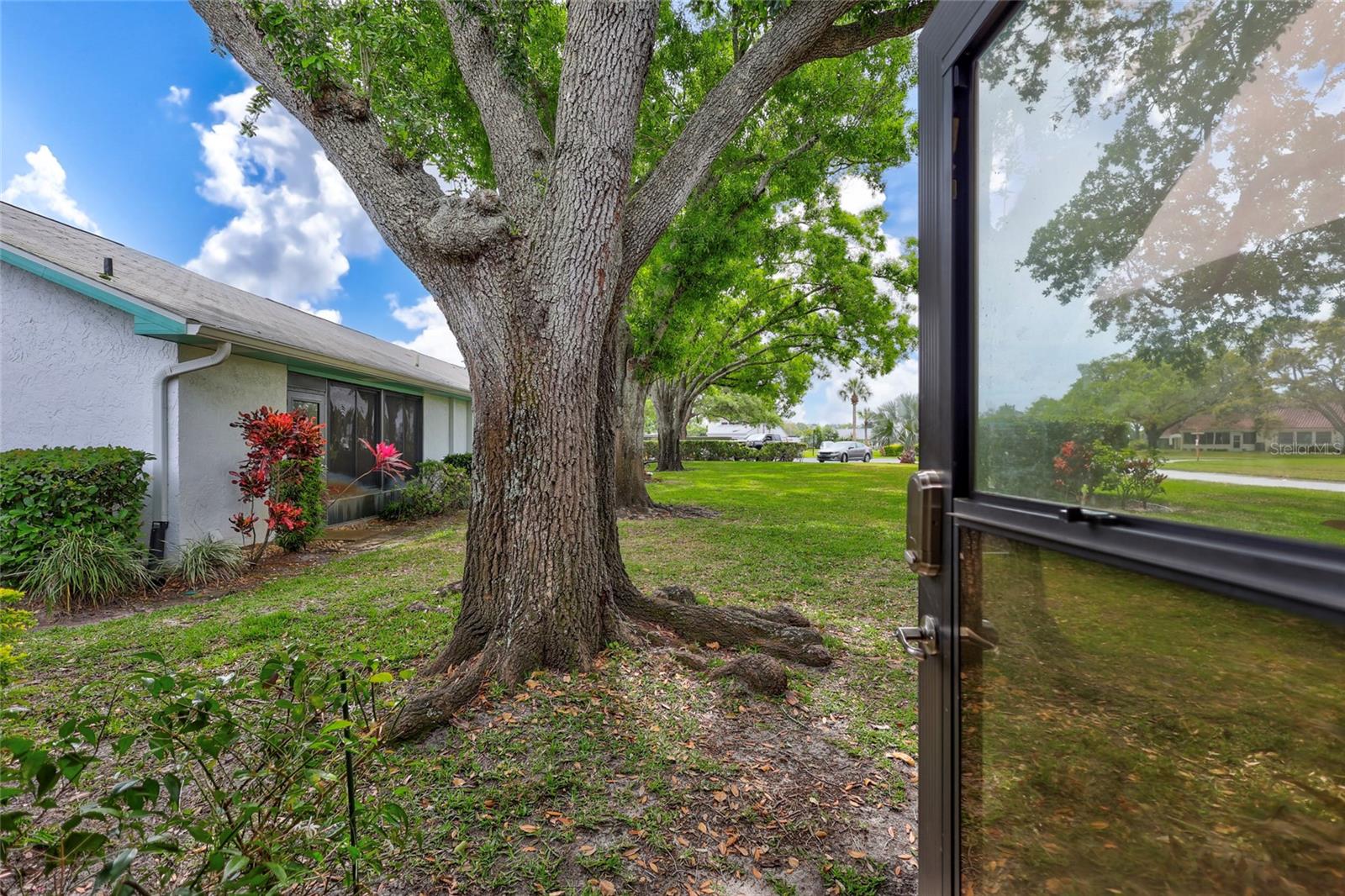 1065 TARTAN DR #C, PALM HARBOR, FL, 34684