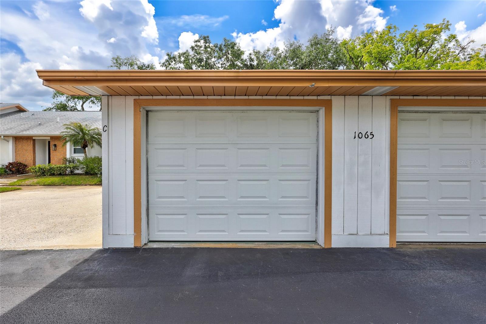 1065 TARTAN DR #C, PALM HARBOR, FL, 34684