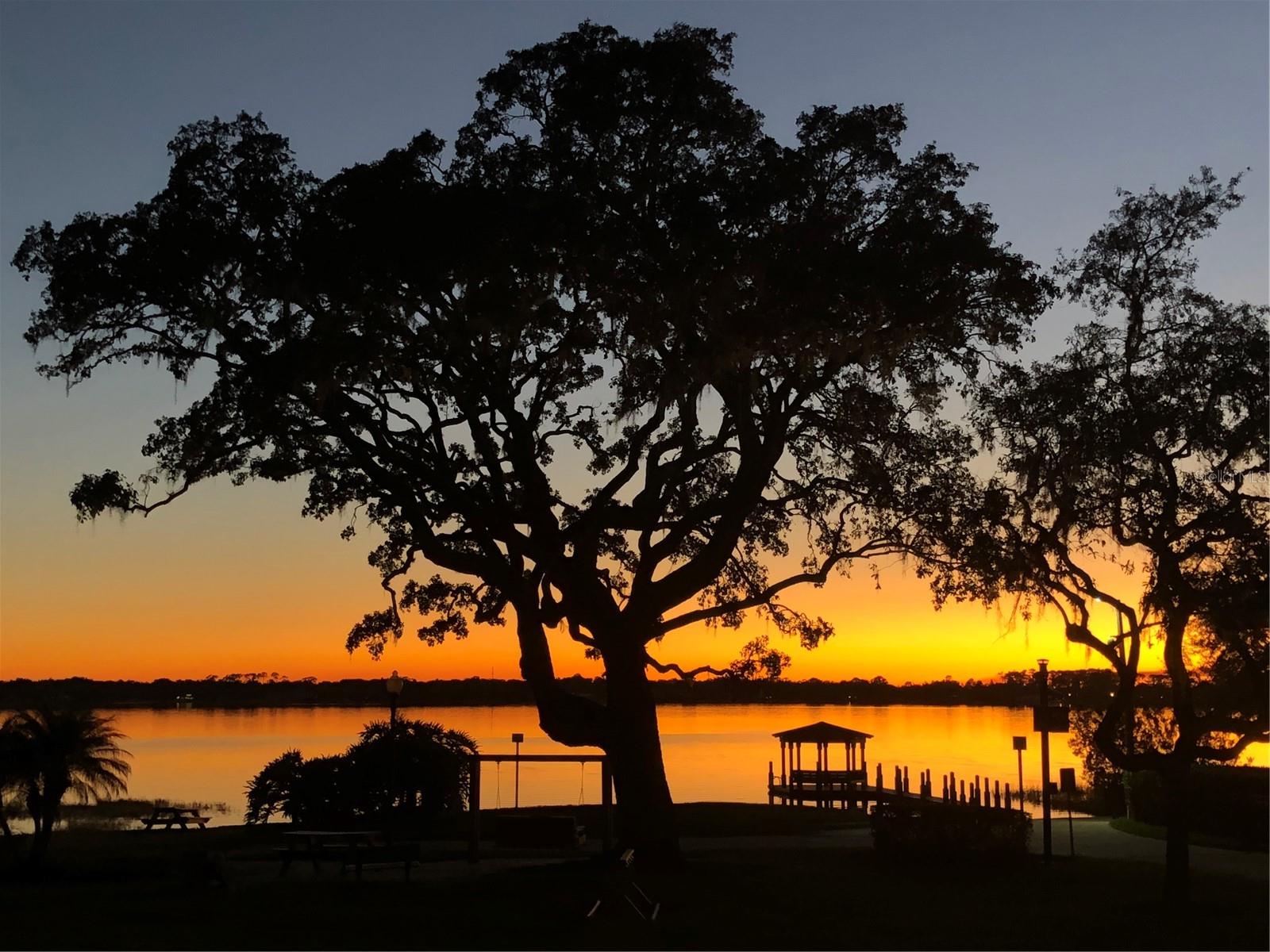 9676 WILD OAK DR, WINDERMERE, FL, 34786