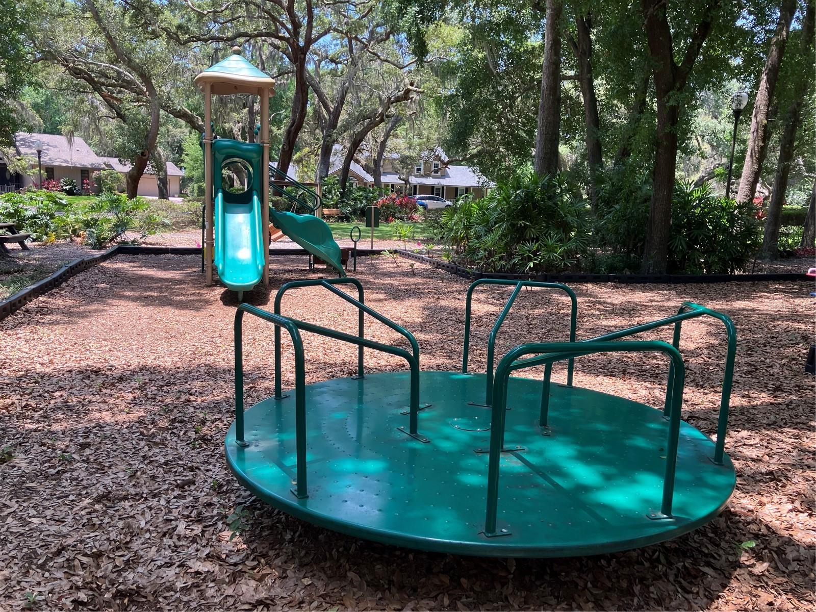 9676 WILD OAK DR, WINDERMERE, FL, 34786