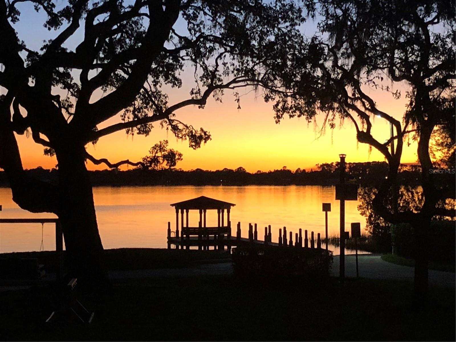 9676 WILD OAK DR, WINDERMERE, FL, 34786