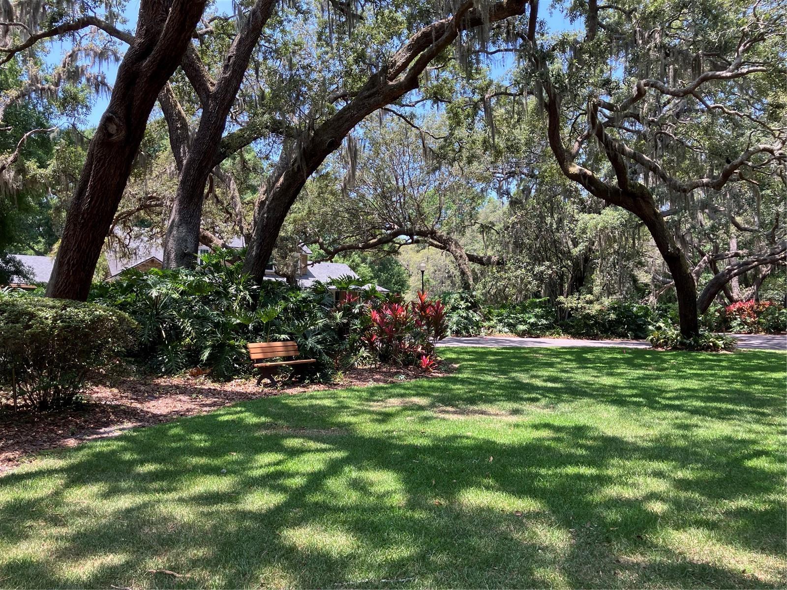 9676 WILD OAK DR, WINDERMERE, FL, 34786