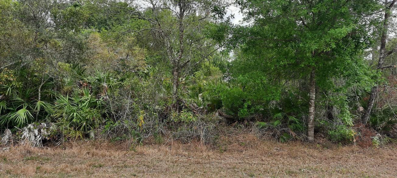 SILVER PALM DR, INDIAN LAKE ESTATES, FL, 33855
