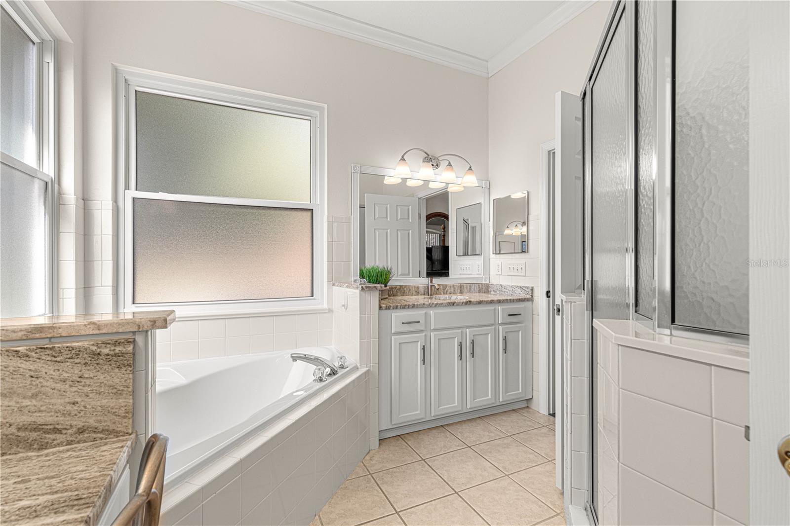 17130 SE 115TH TERRACE RD, SUMMERFIELD, FL, 34491