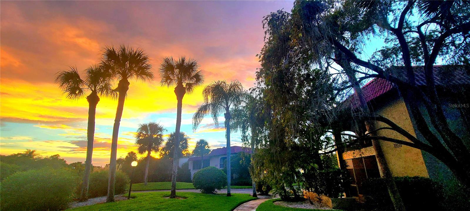 1003 S BAYSHORE BLVD #207, SAFETY HARBOR, FL, 34695