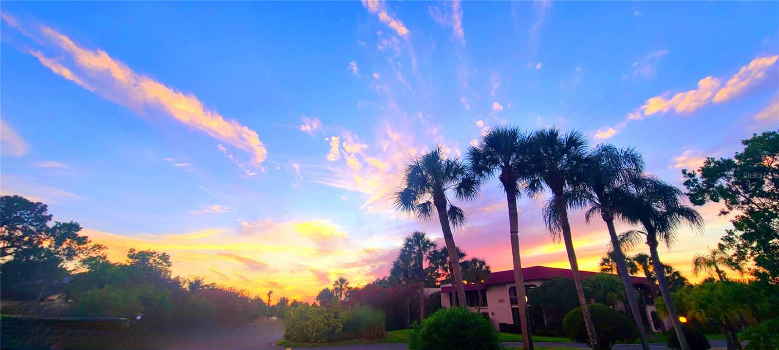 1003 S BAYSHORE BLVD #207, SAFETY HARBOR, FL, 34695