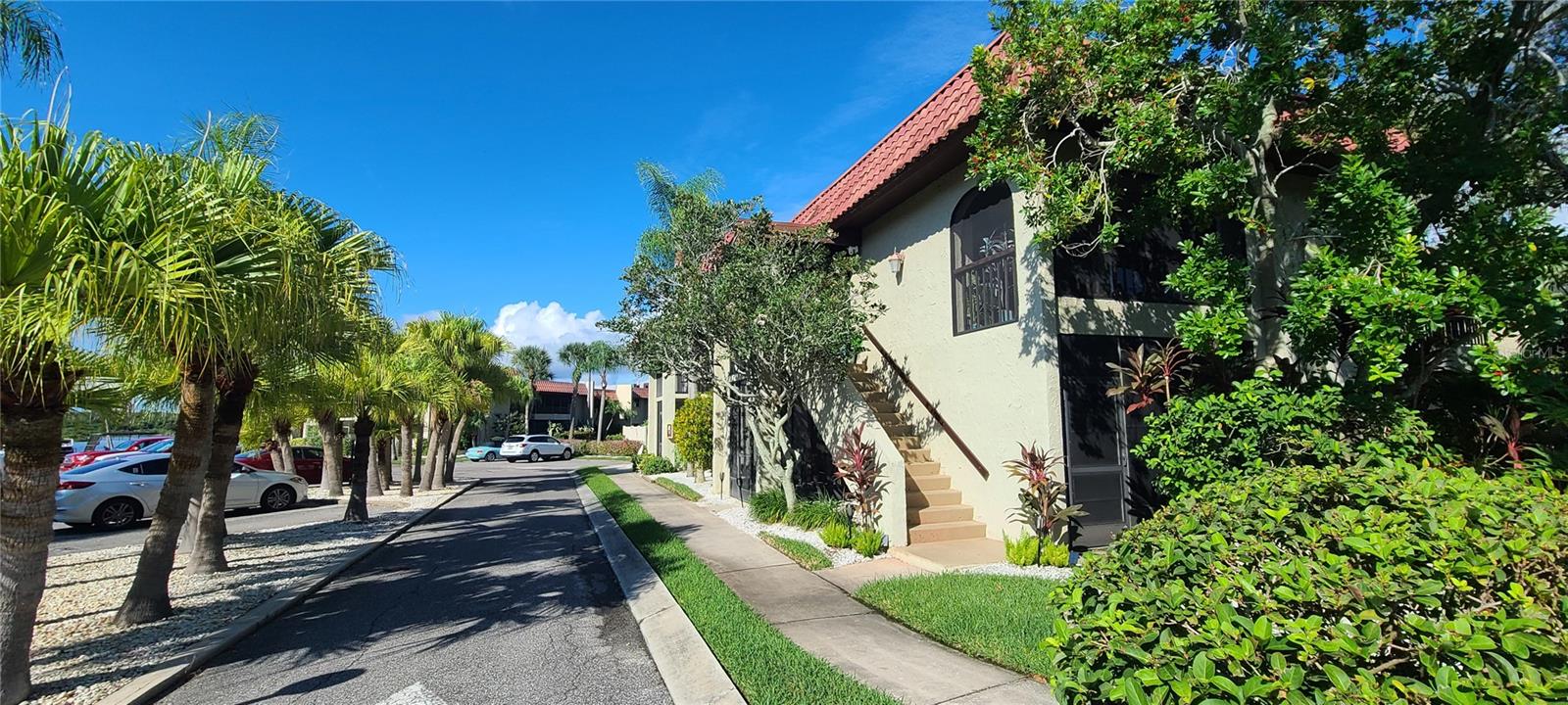 1003 S BAYSHORE BLVD #207, SAFETY HARBOR, FL, 34695