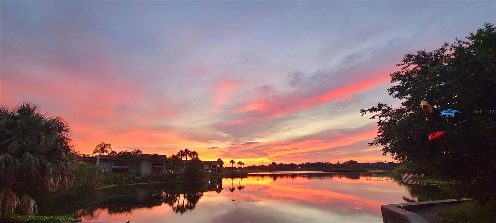 1003 S BAYSHORE BLVD #207, SAFETY HARBOR, FL, 34695