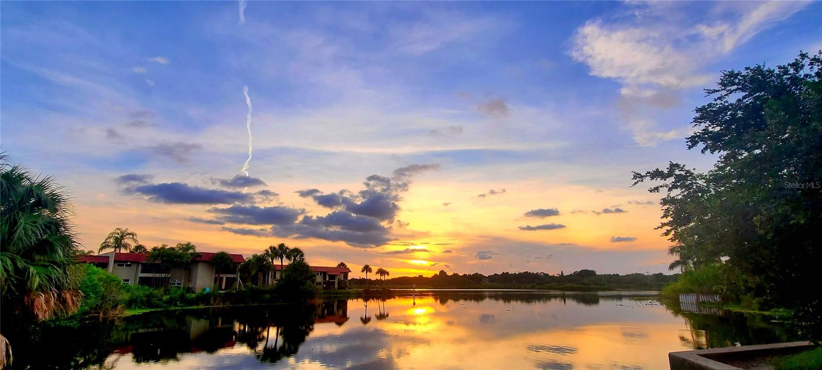 1003 S BAYSHORE BLVD #207, SAFETY HARBOR, FL, 34695