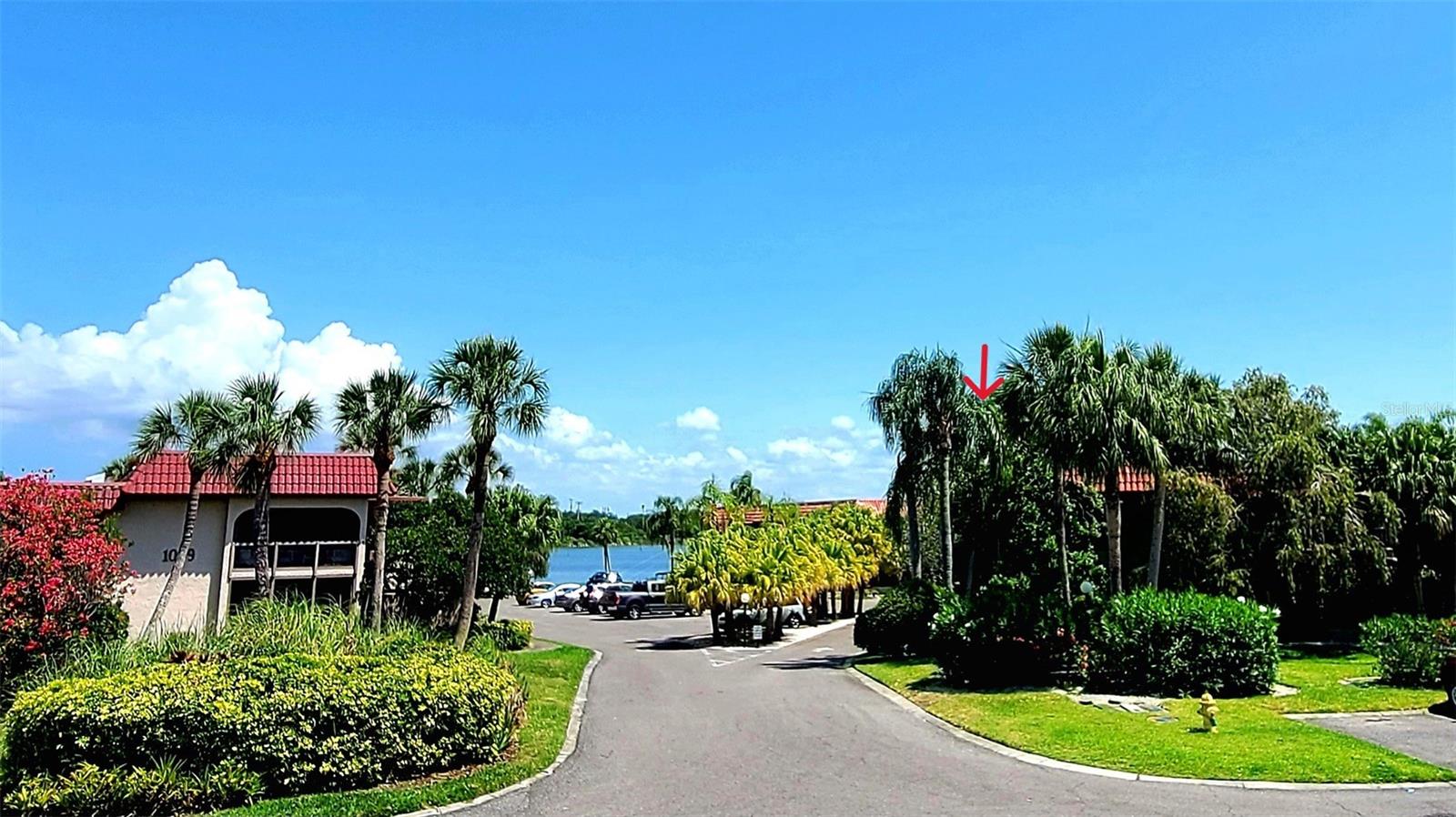 1003 S BAYSHORE BLVD #207, SAFETY HARBOR, FL, 34695