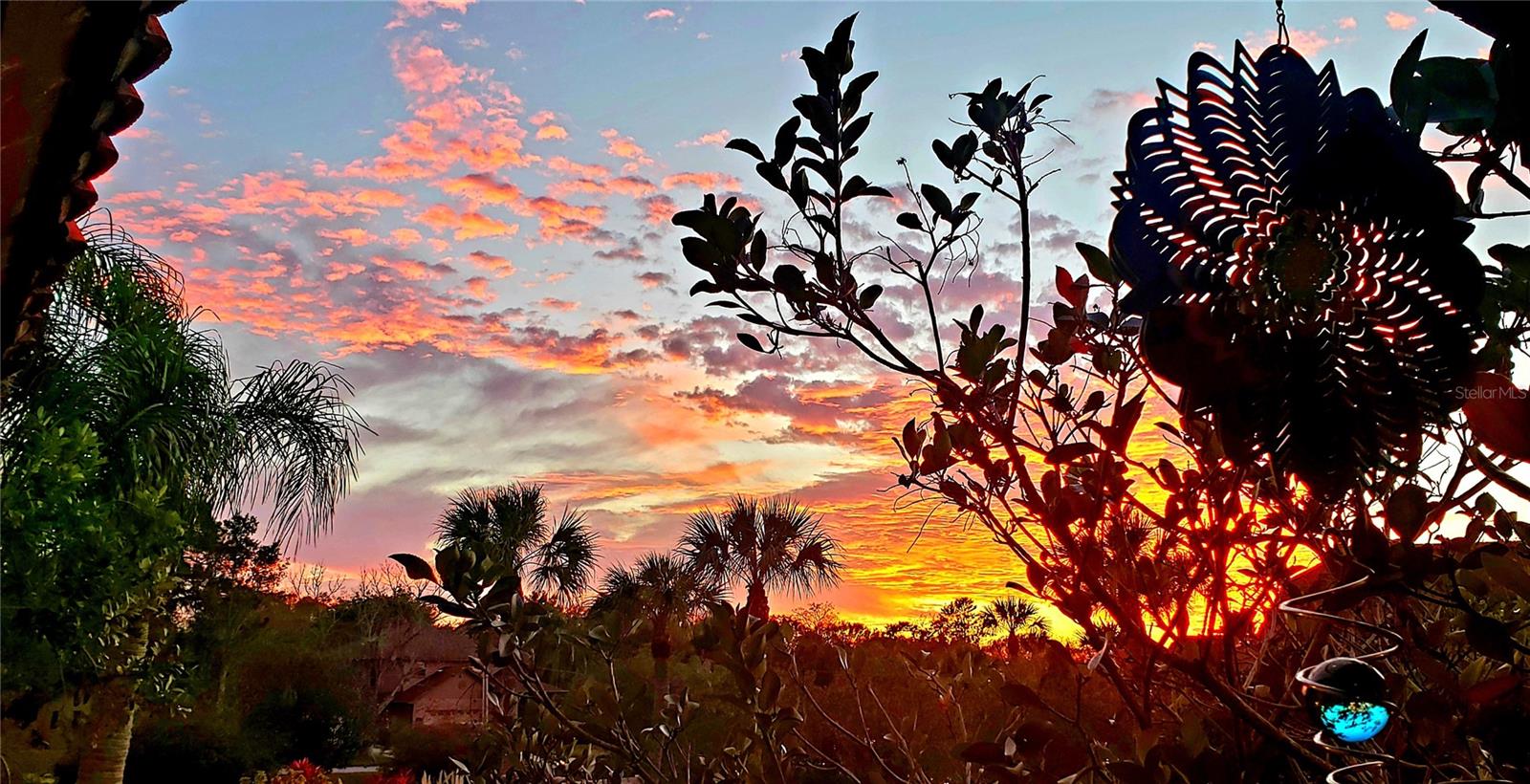 1003 S BAYSHORE BLVD #207, SAFETY HARBOR, FL, 34695